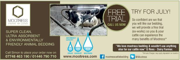 Wow! have you seen the <a href="/Mootress/">Mootress</a> advert in July's issue? "Try for July" Free Trial.