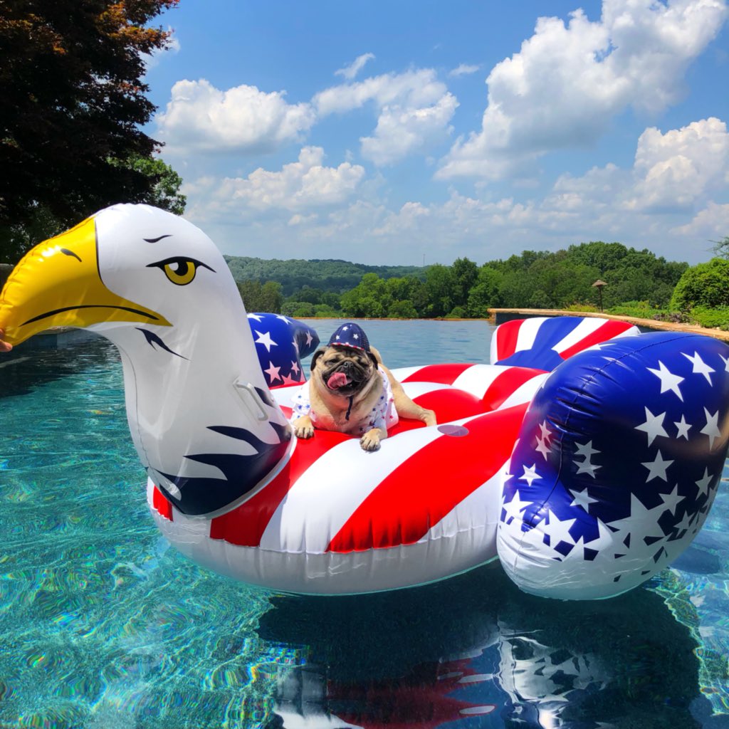 America, pug yeah 🇺🇸
