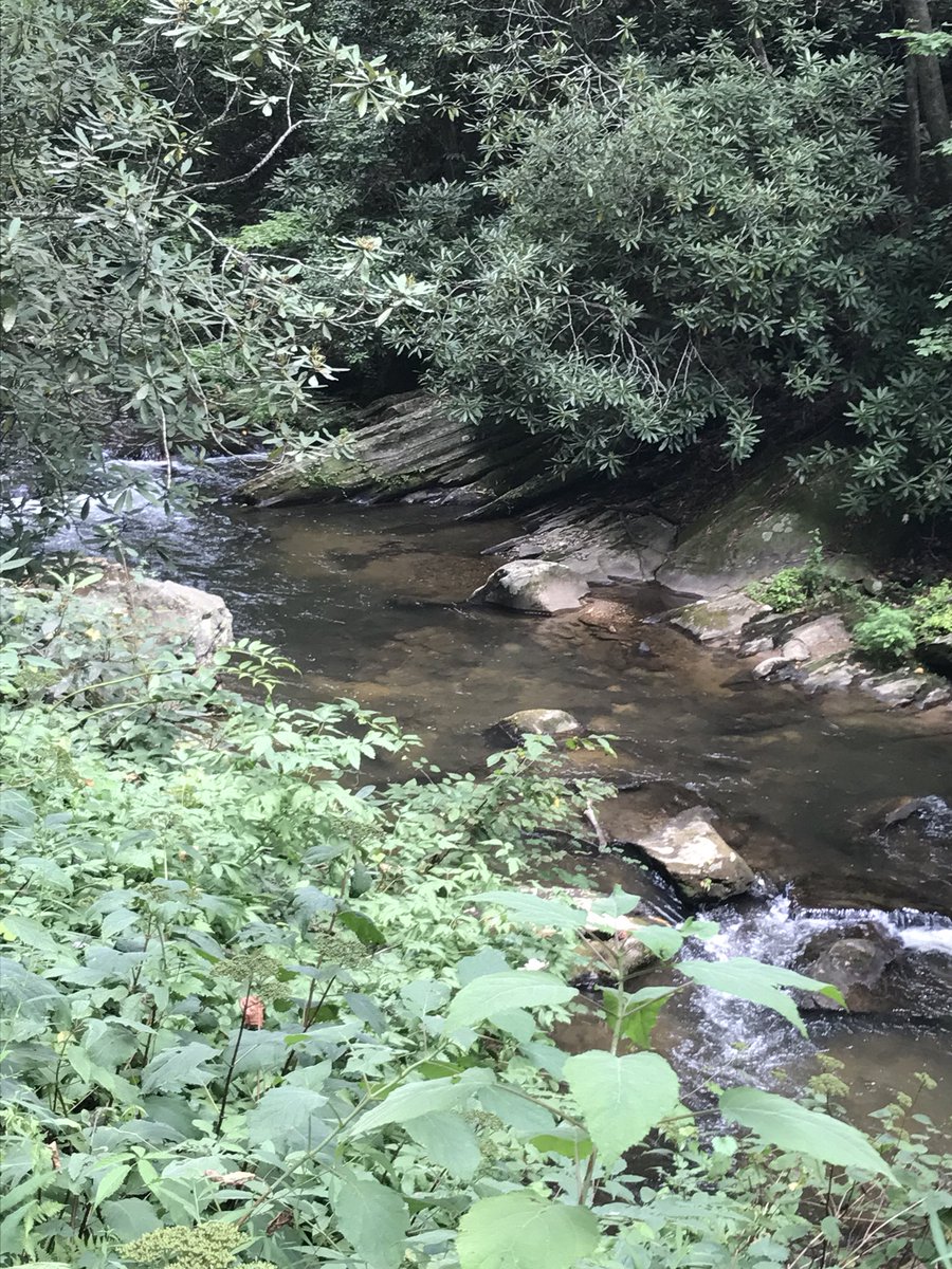 usaflyco1's tweet photo. Happy #4thJuly2018 to all the #Patriots and kings of the #streams 🇺🇸 enjoy #fireworks hit some water! #FlyFishing https://t.co/yWe2PYQ9k5 https://t.co/emyVm52qUg