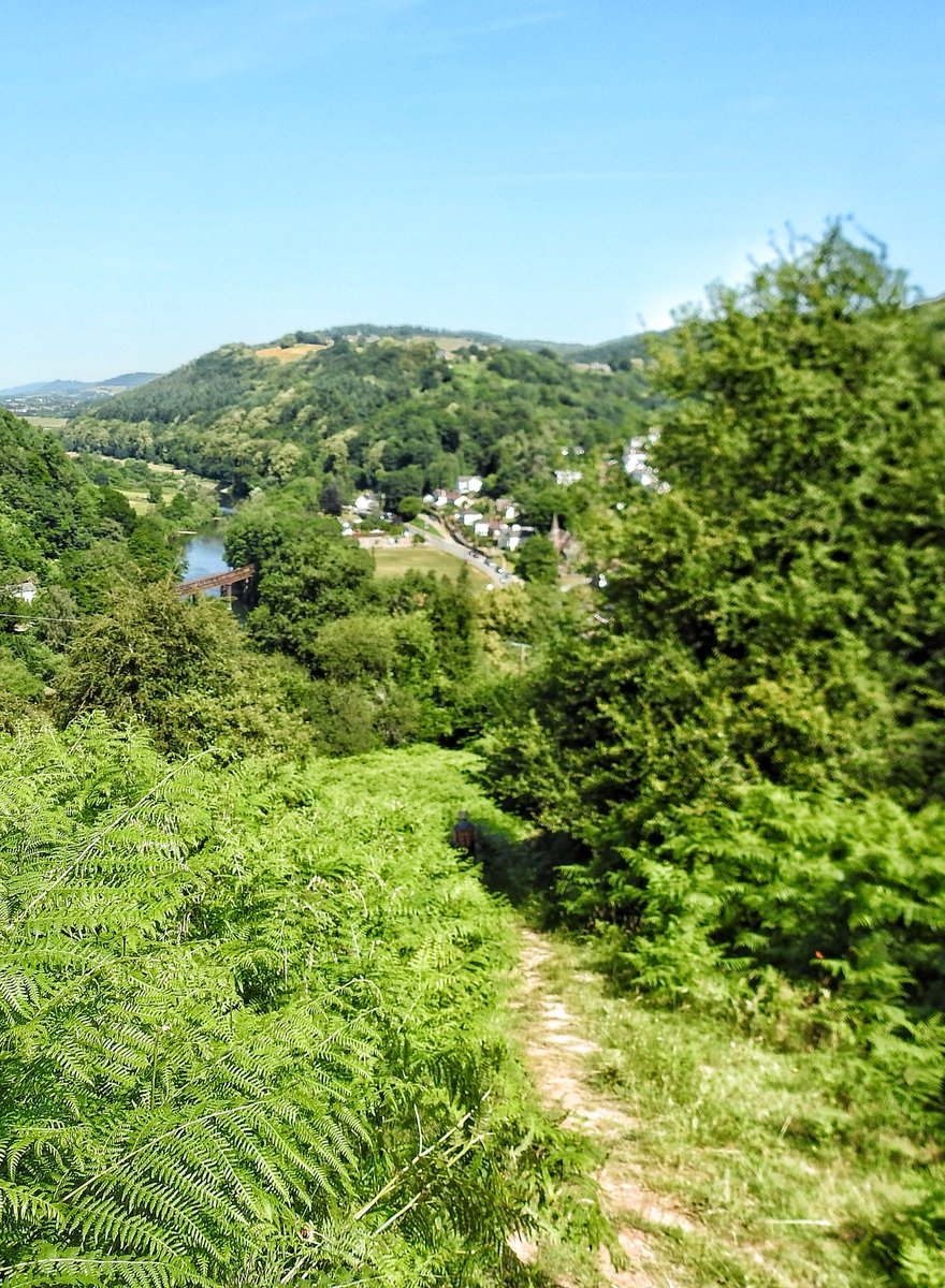 Cracking view looking down on #Redbrook and the #RiverWye <a href="/OffasDykePath/">Offa's Dyke Path National Trail</a>