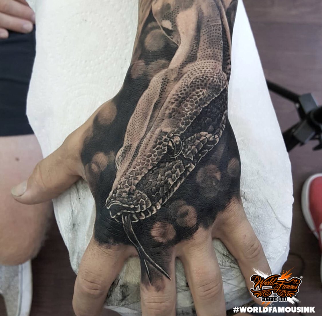Brian Barczyk 🐍 (SnakeBytesTV) Twitter