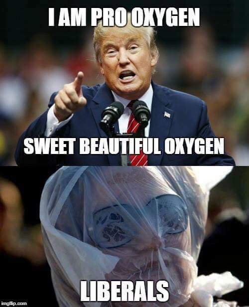 Krissy012000's tweet photo. This is 100% correct...lol https://t.co/z6UqJwMzxD