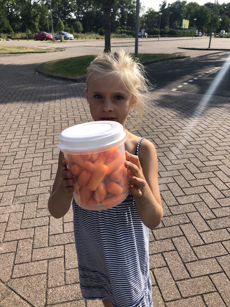 Obsdevoorzaan's tweet image. Onze jaarlijkse Schoolwandeltocht. Dit jaar liepen we door het Twiske. Een mooi sportief evenement op @Obsdevoorzaan Bijna iedereen had water en groente of fruit mee voor onderweg. #ZaanPrimair #JOGGZaanstad