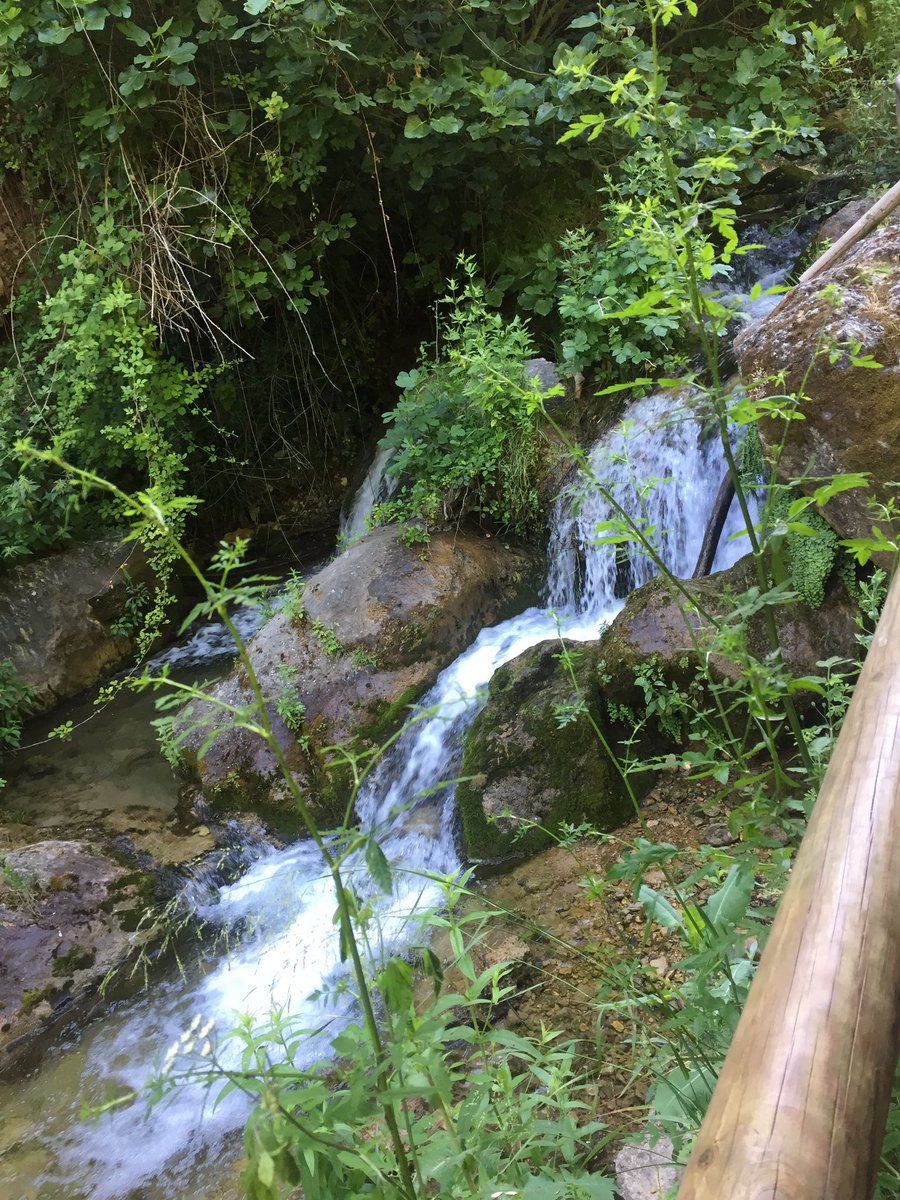 InmaBP13's tweet photo. Hoy el curso de pastoral ha tenido su momento de retiro en el sendero del río Cerezuelo, Cazorla. @SafaVerano https://t.co/RsRVdjXysf