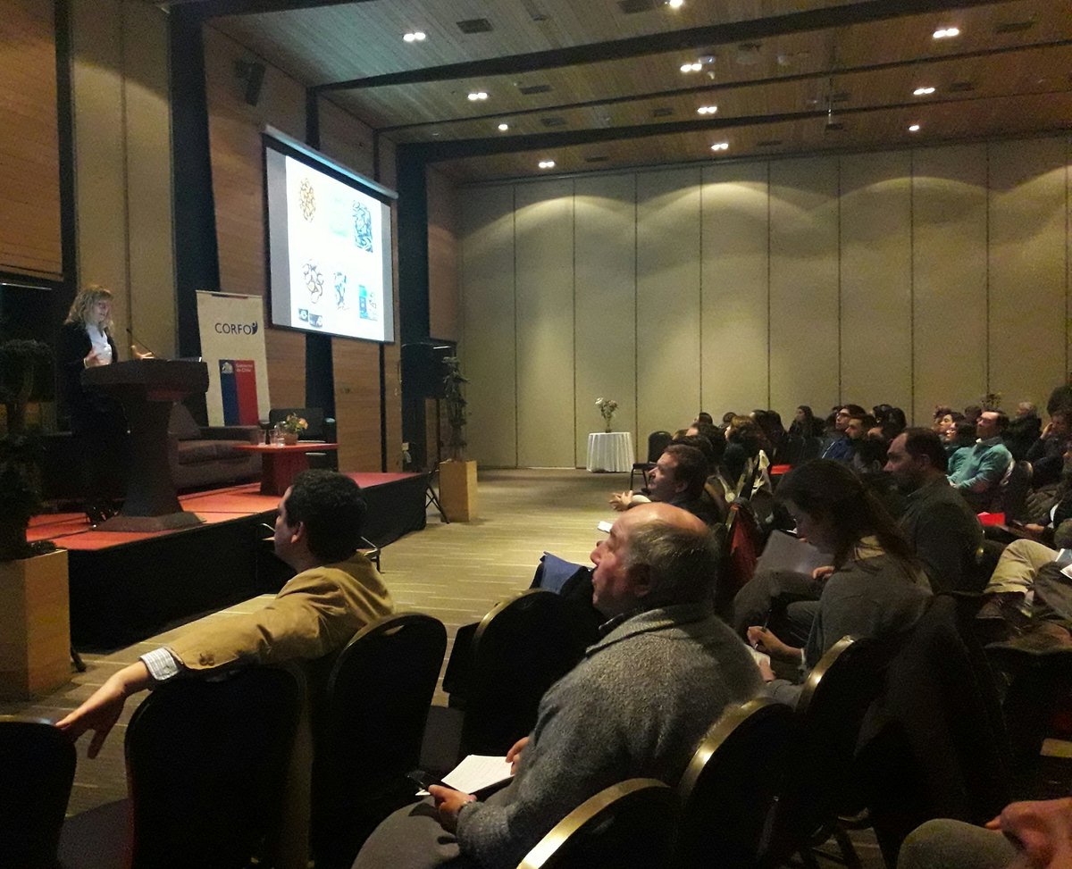 Mejillon de Chile tweet media