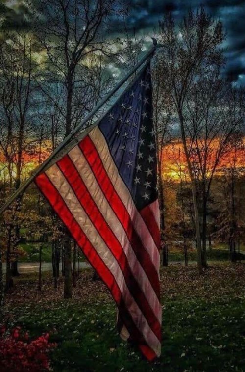 DebtPayPro's tweet image. As we celebrate our freedom, let us not forget all those who have fought for our country to give us this day.

Happy Independence Day!