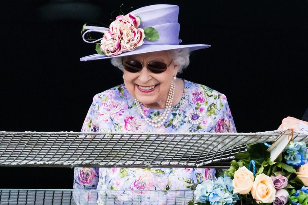 McLachlan_Optom's tweet photo. Even Queenie is rocking Insta-worthy micro sunglasses this summer (though it might be on the recommendation of her surgeon rather than her stylist...) https://t.co/z1v1BdhptG https://t.co/a5FtmscpZE