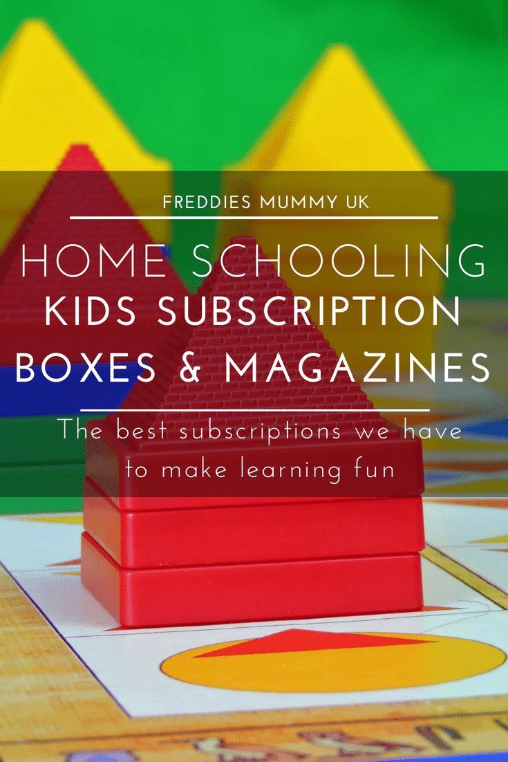 Homeschool of 1 - Clare Brown tweet media