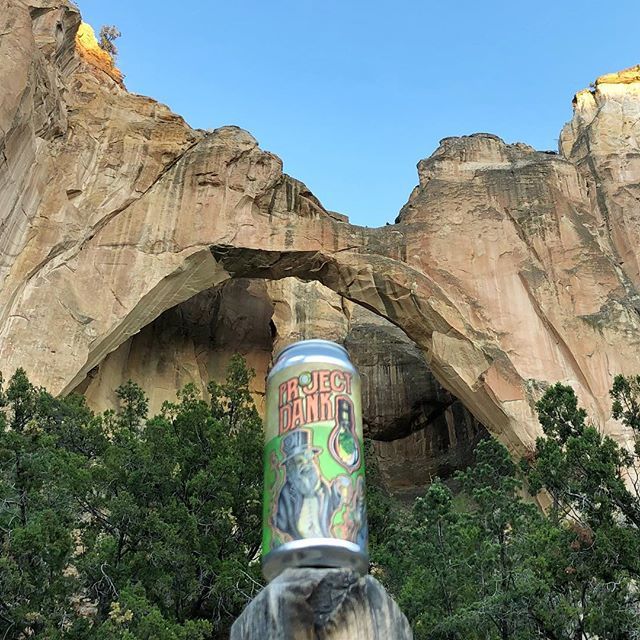 kjfsix9's tweet photo. @lacumbrebrewing #ProjectDank at #LaVentanaNaturalArch #ElMalpais #PureNM #VisitNewMexico #Albuquerque #NM #nmbeer #Burque #DukeCity #ABQ #TrueABQ #VisitABQ #PictureABQ #craftbeer #Beerstagram #beertography #beerporn #beerlove #drinklocal #drinkfresh #dr… https://t.co/YSPWnHRmCO https://t.co/0dvPPJHOUS