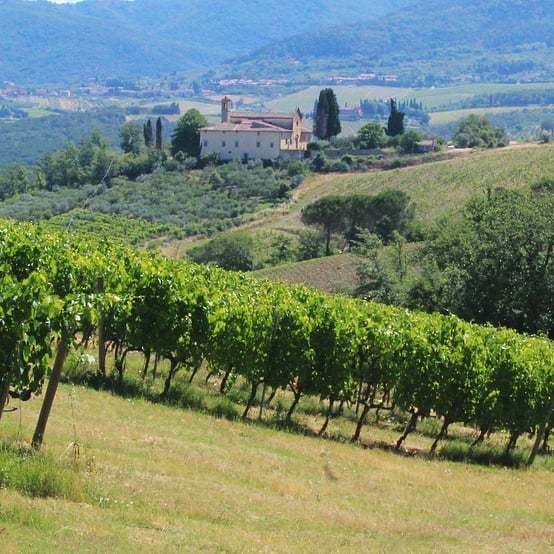 Wonderful day at Castello di Gabbiano #chiantilife #chiantilovers⠀
Memories of a sunnyday, roaming around vineyards and rolling hills... #tuscany #ig_firenze #chiantishire #cretesenesi #ig_siena #igers #aroundsiena #instatuscany #siena #toscana #firenze #instagram #volgotosc…