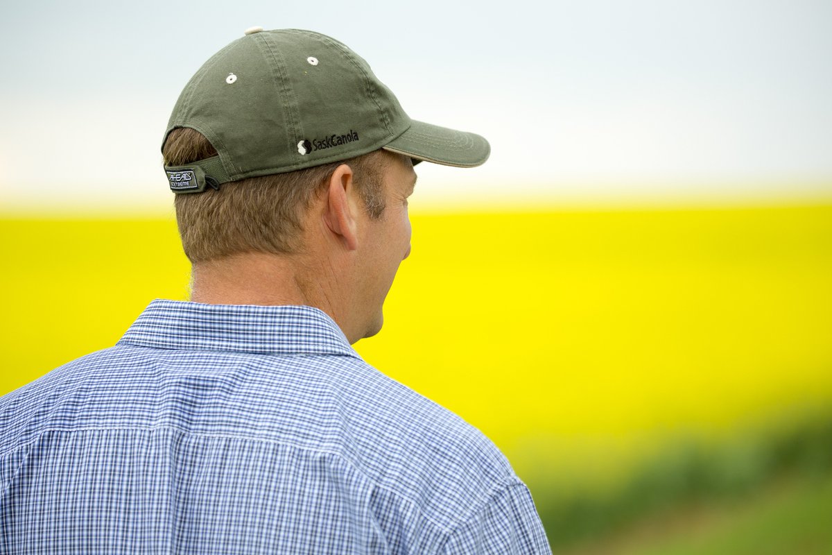 licensetofarm's tweet image. "If farmers don't stand up, speak out, and tell their own stories, this trend of other people telling their stories for them is going to continue, and it's going to grow exponentially," says @southpawmegan in #LicenseToFarm. bit.ly/2LkyudD