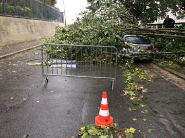 Посмотреть изображение в Твиттере