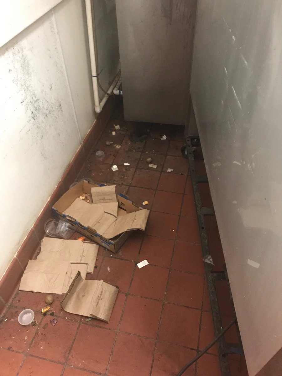 PeterIGreen3's tweet image. T