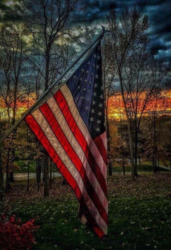 CleanFuelSTL's tweet image. Happy 4th!