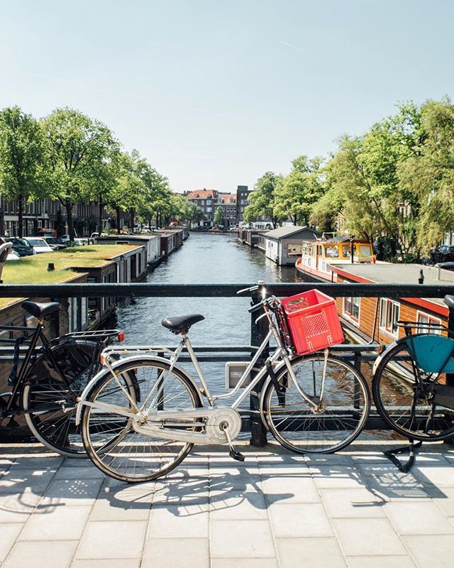 ✨Diva bike 💃🏻🌈 ift.tt/2lTg4Vx