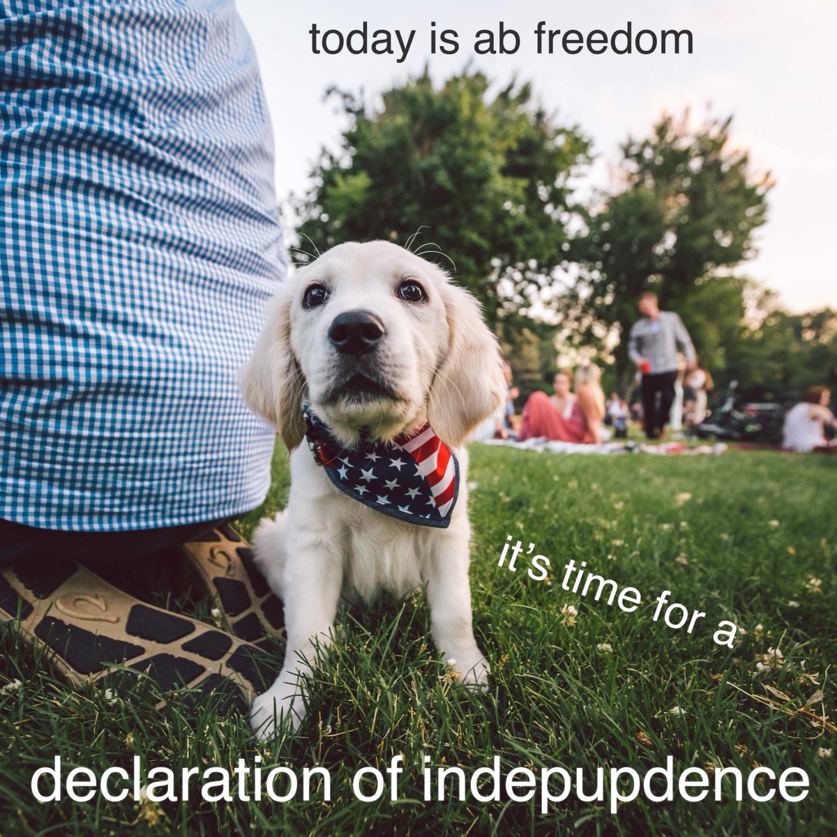 Here’s puppy McAllen, starting a new 4th of July tradition ☝️