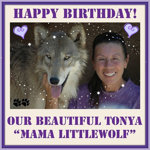 WolfMtnSanct's tweet photo. TODAY is a VERY Special Day!
It's Tonya's Birthday!!!
Please say Happy Birthday to Our Mama Littlewolf :)
We love you so much Tonya, our Alpha Mama!!!!
xoxo
#HappyBirthday #mamalittlewolf #wolfmountainsanctuary #alphamama #loverofwolves #protectorofwol… https://t.co/0KNNWp64J0 https://t.co/wqK6hRssOy