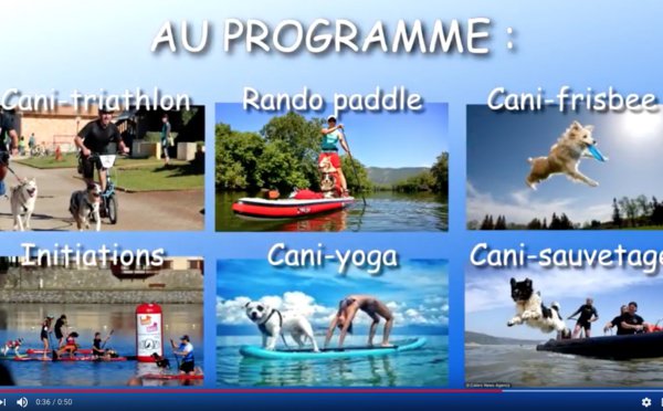 xoriburu's tweet photo. Le cani-triathlon revient �� Vieux-Boucau en octobre prochain https://t.co/1ptgDZt36c https://t.co/4mCUV6CnMU