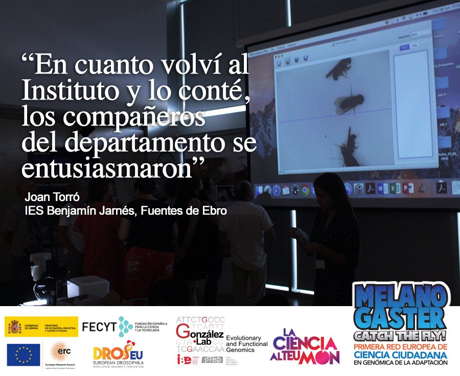 LCATMon's tweet photo. 😀👏👏
Testimoniales #TeachAndFly el curso para profesores del  proyecto de #CienciaCiudadana de #MelanogasterCTF de @GonzalezLab_BCN  @IBE_Barcelona @LCATMon @FECYT_Ciencia @ERC_Research #Genómica  #SecuenciaciónMasiva #CRISPR 
NOTA: https://t.co/DXydACAOYu https://t.co/ACMaWJtL9L