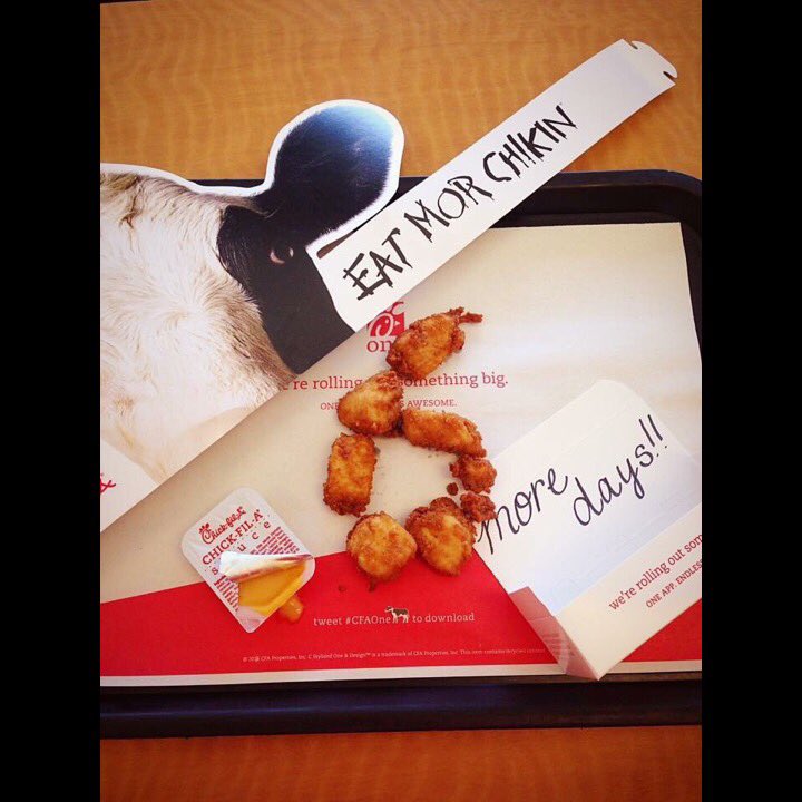 There’s only 6 days until #CowAppreciationDay! #CFAKaty