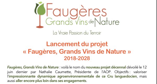 VinsAOPFaugeres's tweet image. Projet FAUGÈRES GRANDS VINS DE NATURE - Pour en savoir plus ➡️  faugeres.com/files/download… @LanguedocWines @VinsduLanguedoc @TerredeVins @LaRVF_mag @lesvinotonautes @RealWineGuru @bibioverre
