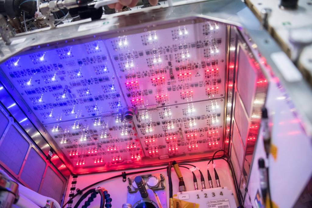 NASA's tweet image. Happy #FourthOfJuly! 🇺🇸 LED lights display an American Flag pattern on the International Space Station in the Advanced Plant Habitat, designed to record data from 180 sensors to test which growth conditions plants prefer in space. Get a closer look: go.nasa.gov/2KPdUol