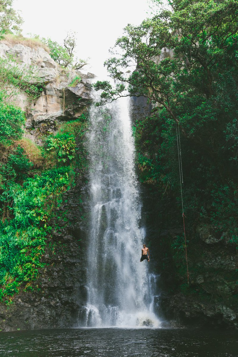 ArborCouture's tweet photo. Travel is never a matter of money but of courage. https://t.co/WEXtb4UuOh 

#travel #travel_drops #travelog #travel_captures #travelwithme #traveljunkie #travelislife #travellove #travelholic #travelpic #nature_up_close #nature_of_our_world #nature_photography #naturephotos https://t.co/SV4cl2yw6c