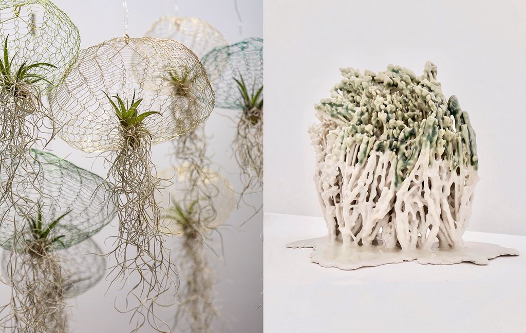 Mint Shop tweet media