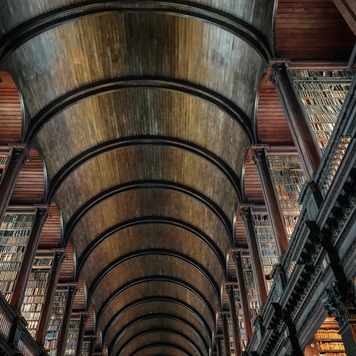 DrEmmaLJohnston's tweet image. Church of knowledge. #trinitycollegelibrary
