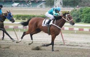 jfarache's tweet image. 04/07/2009 BAMBERA gana el Clásico Joaquín Crespo (G1) y con ello la triple corona de yeguas.
