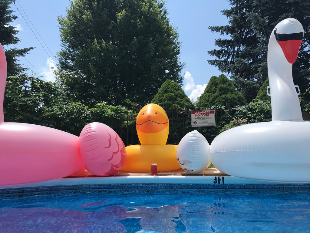 CharlieBarth's tweet photo. #mythirdspace  Red,White,and Blue - Red. They got tired of swimming and took a break for Your cherry sour. https://t.co/07rH7UDMUD