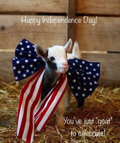 PVMSFFA's tweet image. 