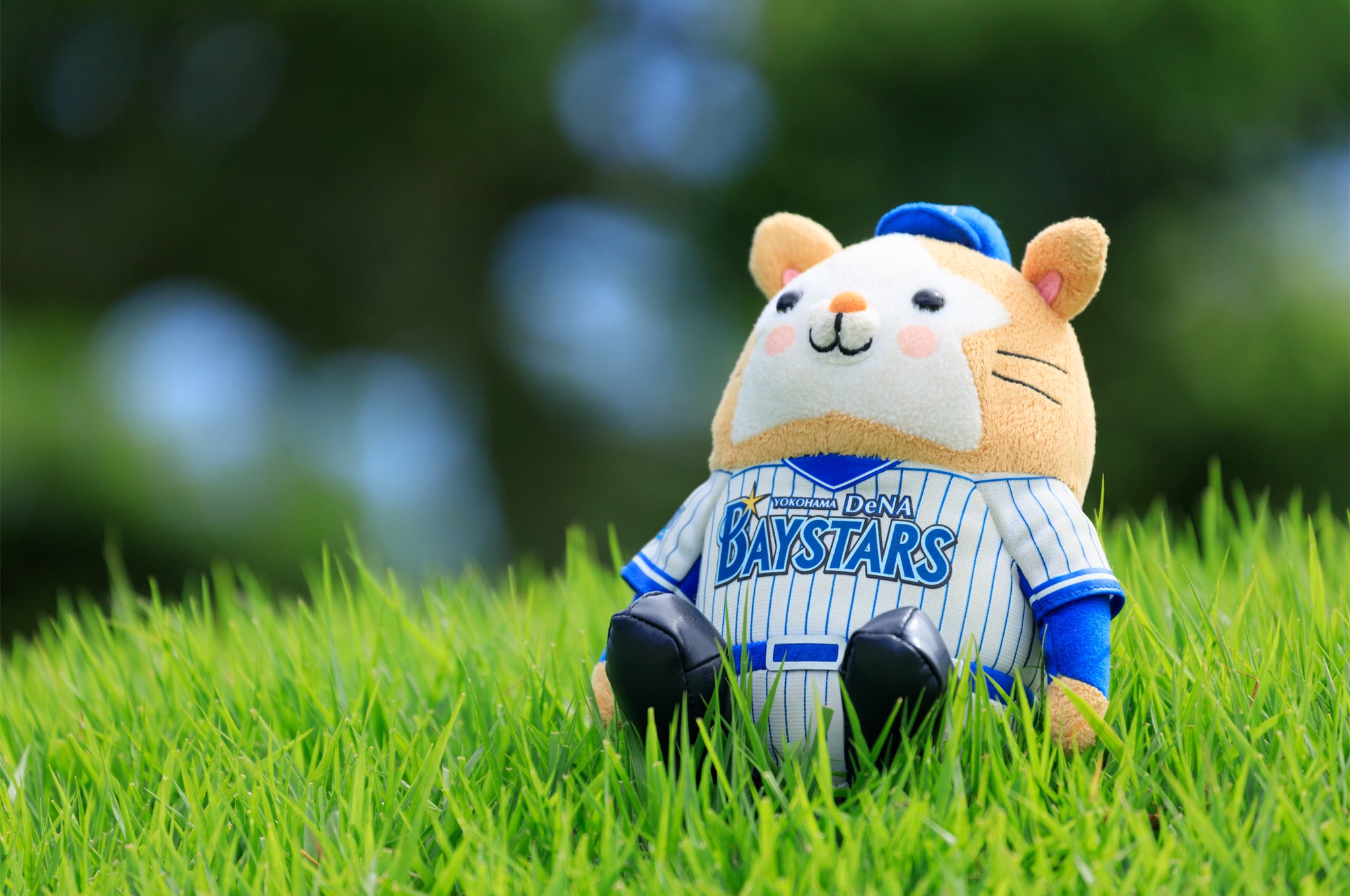 クマ スターマン Baystars ベイスターズ 横浜優勝 壁紙 ベイファンの姉のためにスターマンのぬいぐるみを撮影してみました せっかくなので 気に入ってもらえたら持っていってくださーい クマ スターマン Baystars ベイスターズ 横浜優勝 壁紙 ベイファンの姉のためにスターマンのぬいぐるみを撮影してみました せっかくなので 気に入ってもらえたら持っていってくださーい