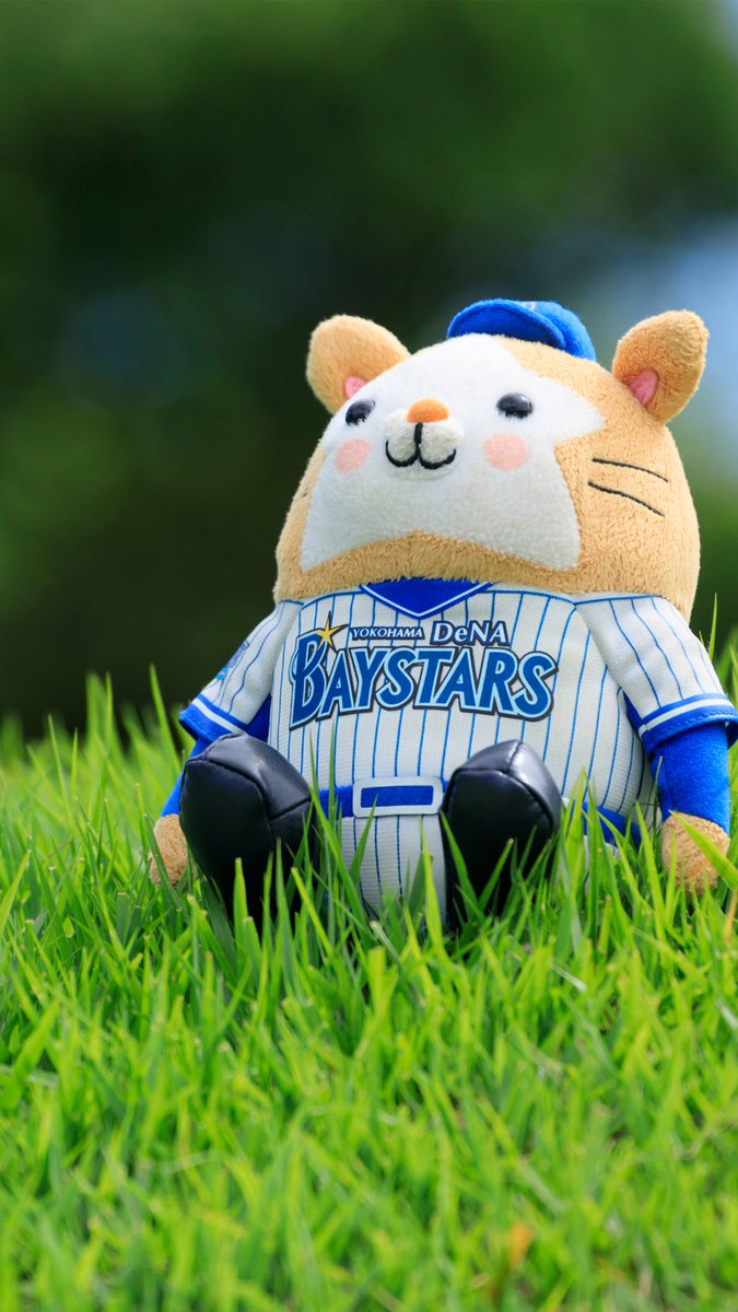 クマ On Twitter スターマン Baystars ベイスターズ 横浜優勝