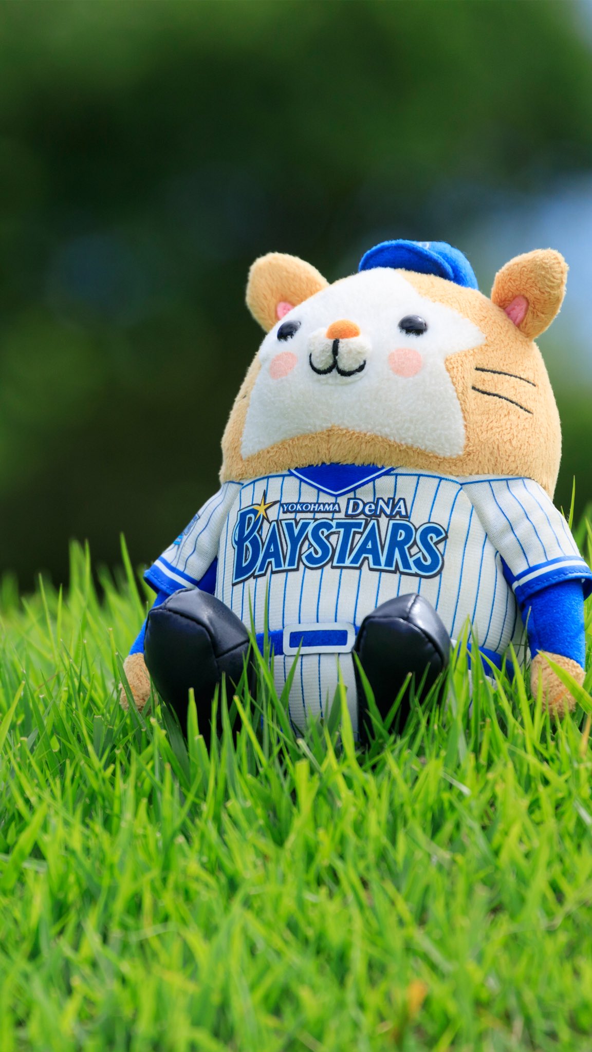 クマ スターマン Baystars ベイスターズ 横浜優勝 壁紙 ベイファンの姉のためにスターマンのぬいぐるみを撮影してみました せっかくなので 気に入ってもらえたら持っていってくださーい クマ スターマン Baystars ベイスターズ 横浜優勝 壁紙 ベイファンの姉のためにスターマンのぬいぐるみを撮影してみました せっかくなので 気に入ってもらえたら持っていってくださーい