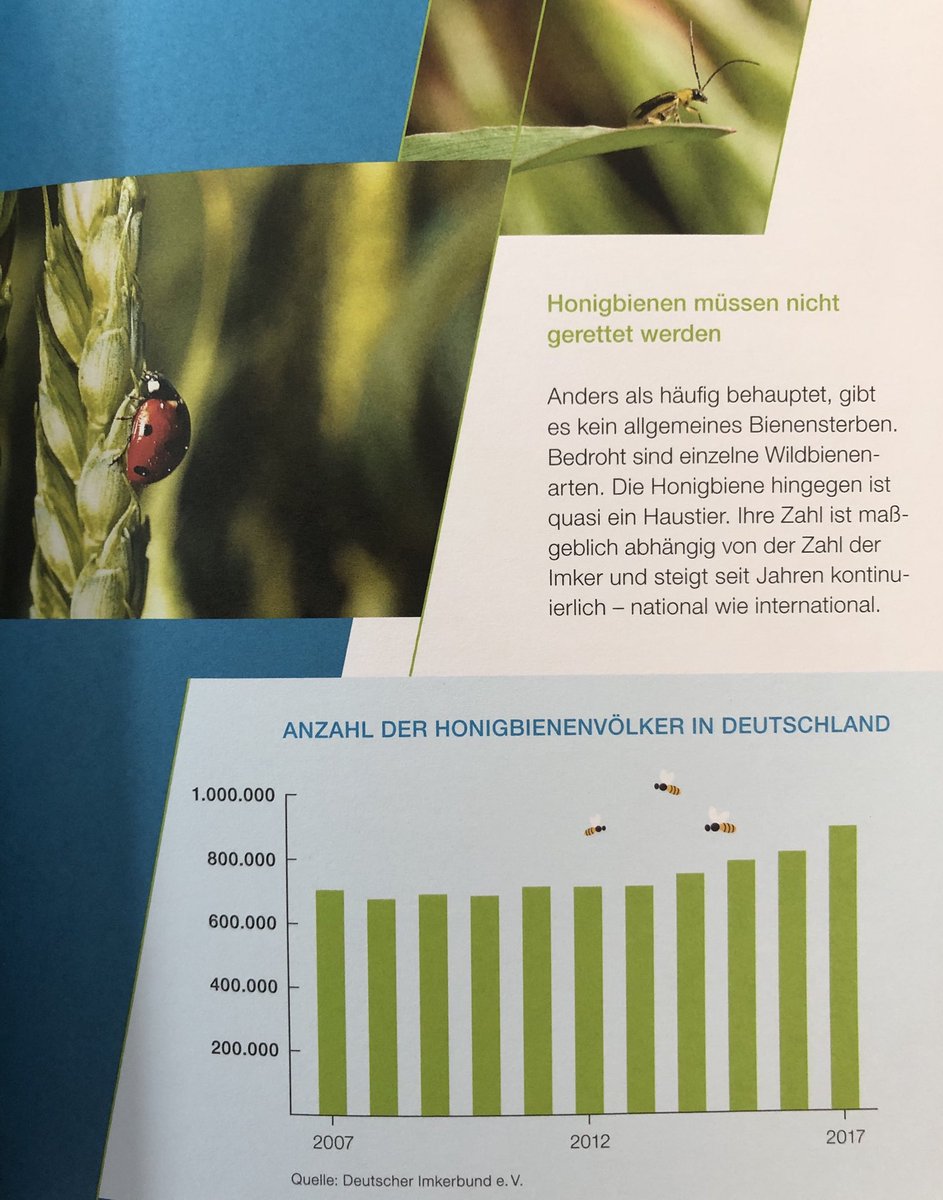 PR_Union's tweet photo. #Honigbienen nicht in Gefahr. Wer hätte das gedacht?! #Bienensterben https://t.co/PVQOJcitbA