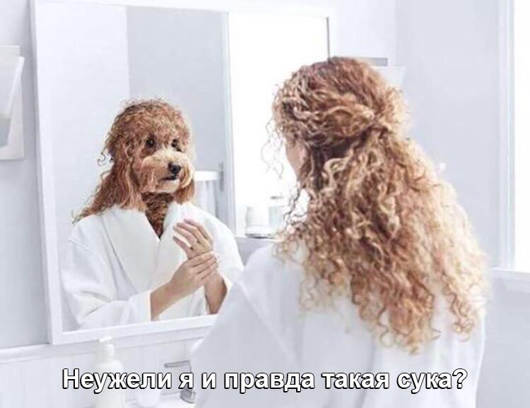 Тян не нужны (@nenuzhenki) on Twitter photo 