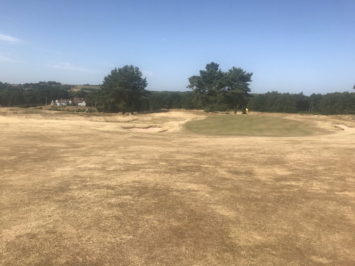 delameregolf's tweet photo. Crispy! And no end in sight. Thanks to the @Delamere_Greens team who are working so hard at the moment. Course is playing beautifully but keep the big dog in the kennel! https://t.co/dzOhDvMgx2