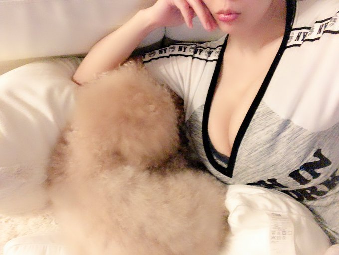 💤 https://t.co/ZeXtcnSjsb<a href="/tag/%E5%8C%A0%E3%81%AE%E6%8A%80"class="tags"><span>#匠の技</span></a>