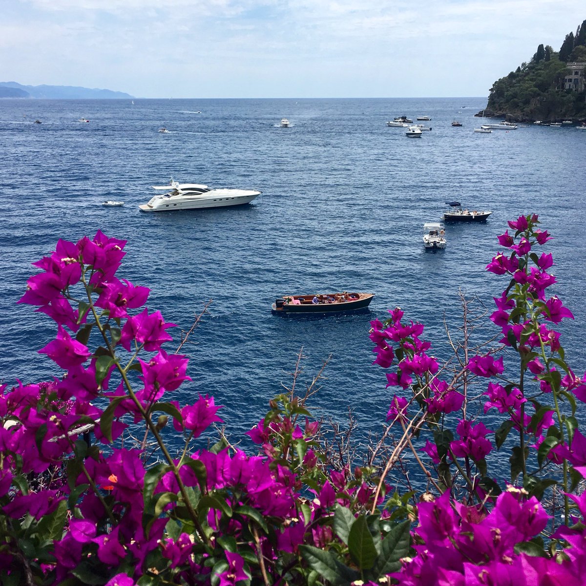 When you take the time to explore more, you can discover amazing views like this one 😍
🇹🇩
🇹🇩
🇹🇩
#georgianastories #living_europe #map_of_europe #portofino #Italy #foodblogger #Travel #travelgram #places_wow #hubs_united #travelmore #sceniclocations