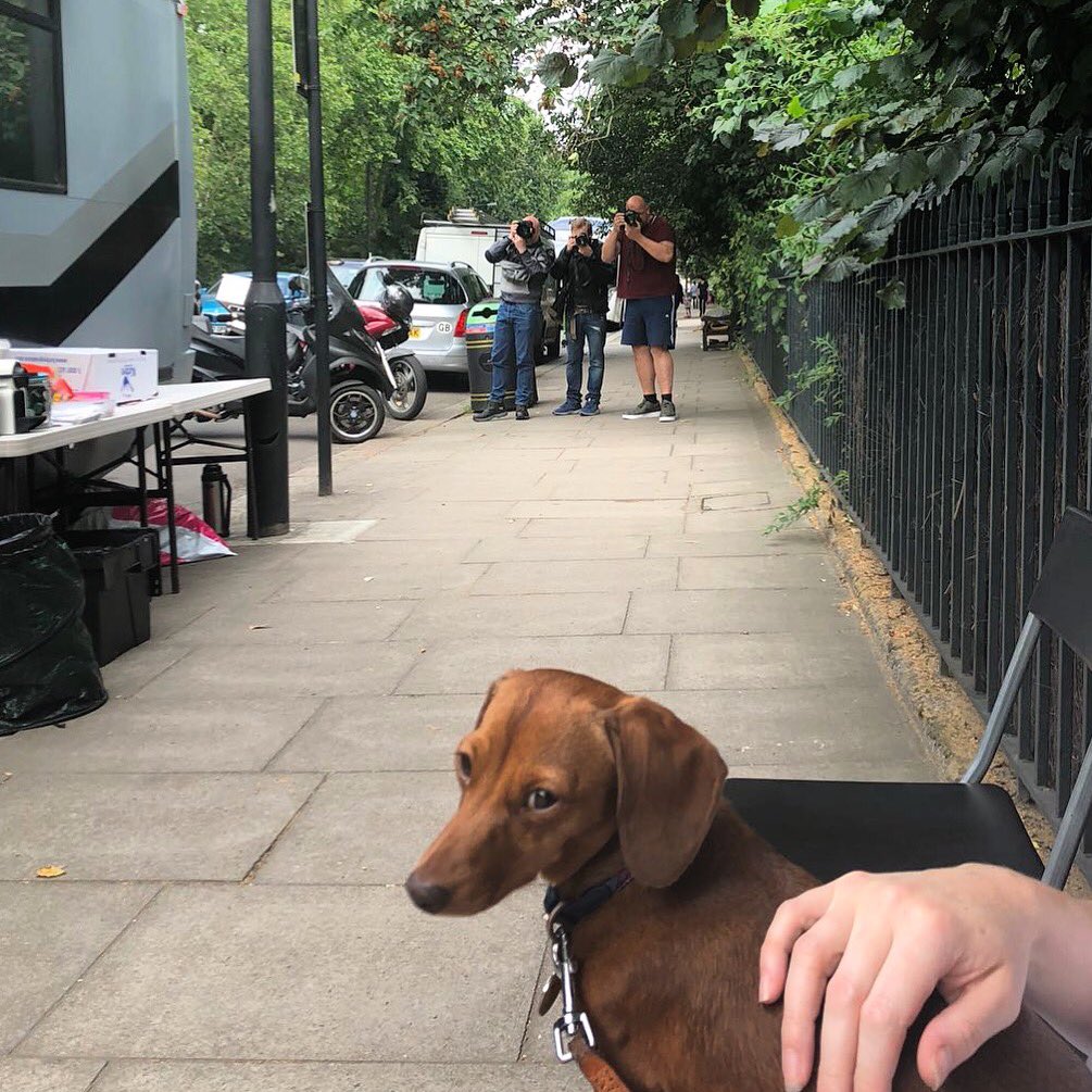 Gertie_Lou's tweet photo. I got #papped today on my first modelling assignment. Itβs amazing how quickly my fame has spread. Mum@said they were there for the real model @michkeegan but sheβs definitely wrong #modelpup #pappedsausage #pretendingnottinotice #divapup #everyonelovesgertie #gertielou https://t.co/qUhkX4FX7r