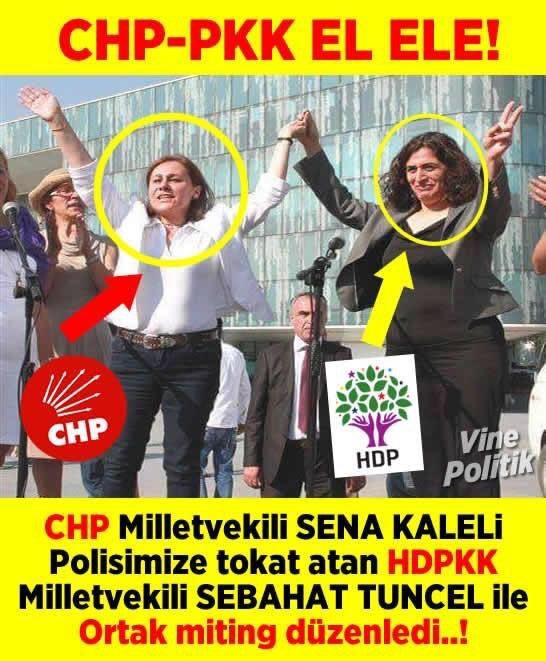 karadelik10's tweet photo. @GSelen1905 Buyur https://t.co/zAFrEYHBKb