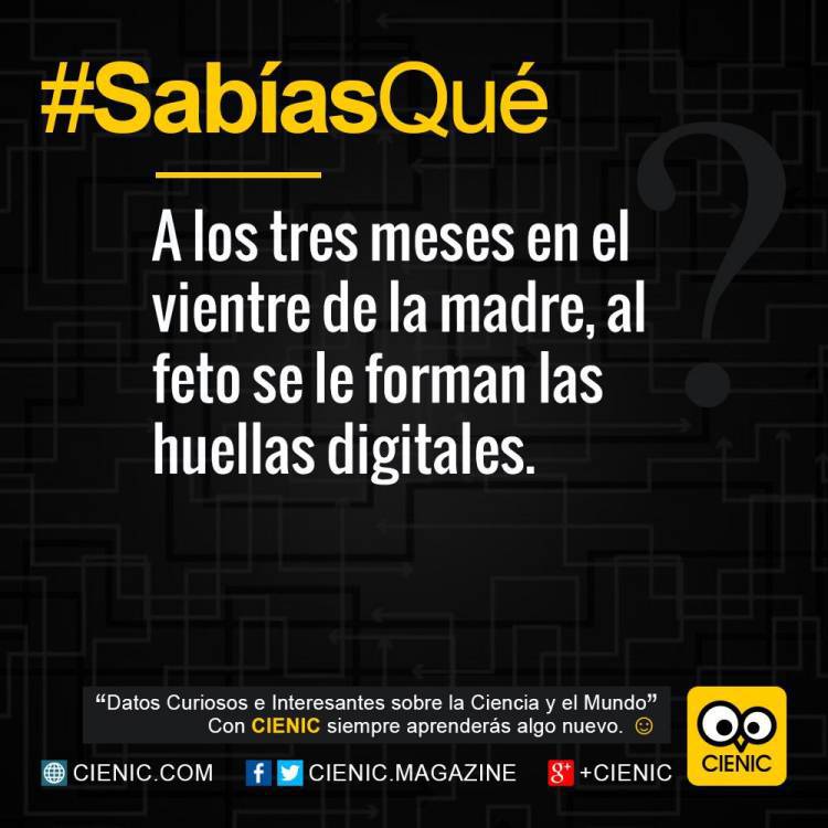 CienicMagazine's tweet photo. •ิ.•ั Conoce Noticias Interesantes  ➛ https://t.co/8gcNsCdHqy

#Sabias #NotasCuriosas #Curiosidades https://t.co/gjTmXVfY33