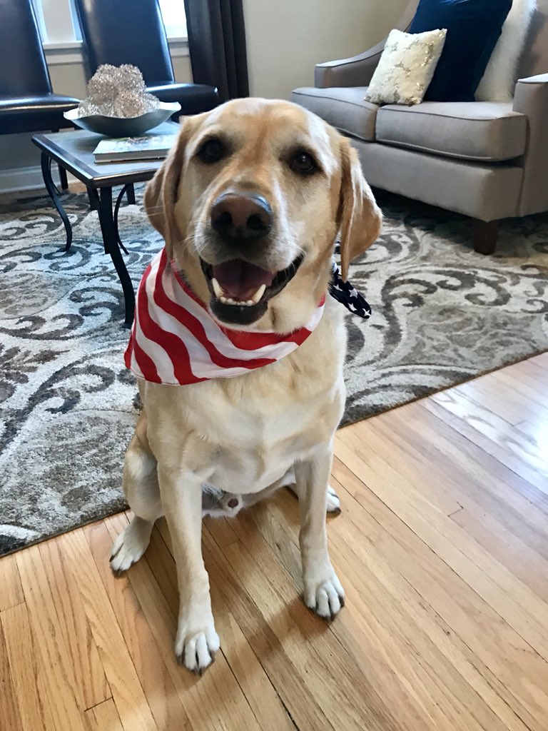 holli1414's tweet photo. Happy Independence Day from me and @LincolntheLab! https://t.co/iAgBnljwJr