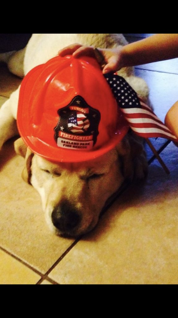 GoldfondJill's tweet photo. Happy 4th! https://t.co/m08QB9N7mQ