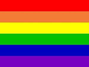 ramonmartz's tweet photo. Bueno, clavelitos y violetitas, como supongo que estaréis ya bastante #HastaAhí de ver la bandera arcoíris al revés, voy a contaros aquí los diferentes símbolos que han utilizado a lo largo de la historia los #MariconesDeAntaño. ¡Hilo va! https://t.co/7RN1dWFo45
