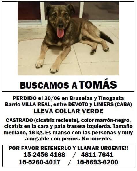 matildablanco's tweet image. Buscamos a Tomas, si lo viste retenelo! 🙏🏻