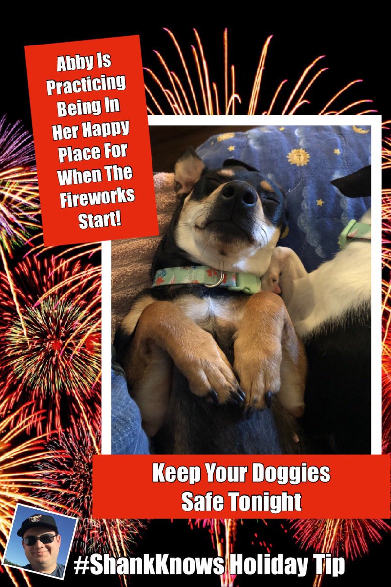 Keep your doggies safe tonight! If you’re leaving, bring them inside and leave the TV on, etc. to help with the fireworks noise! More pets go missing on the 4th than any other day of the year! #ShankKnows