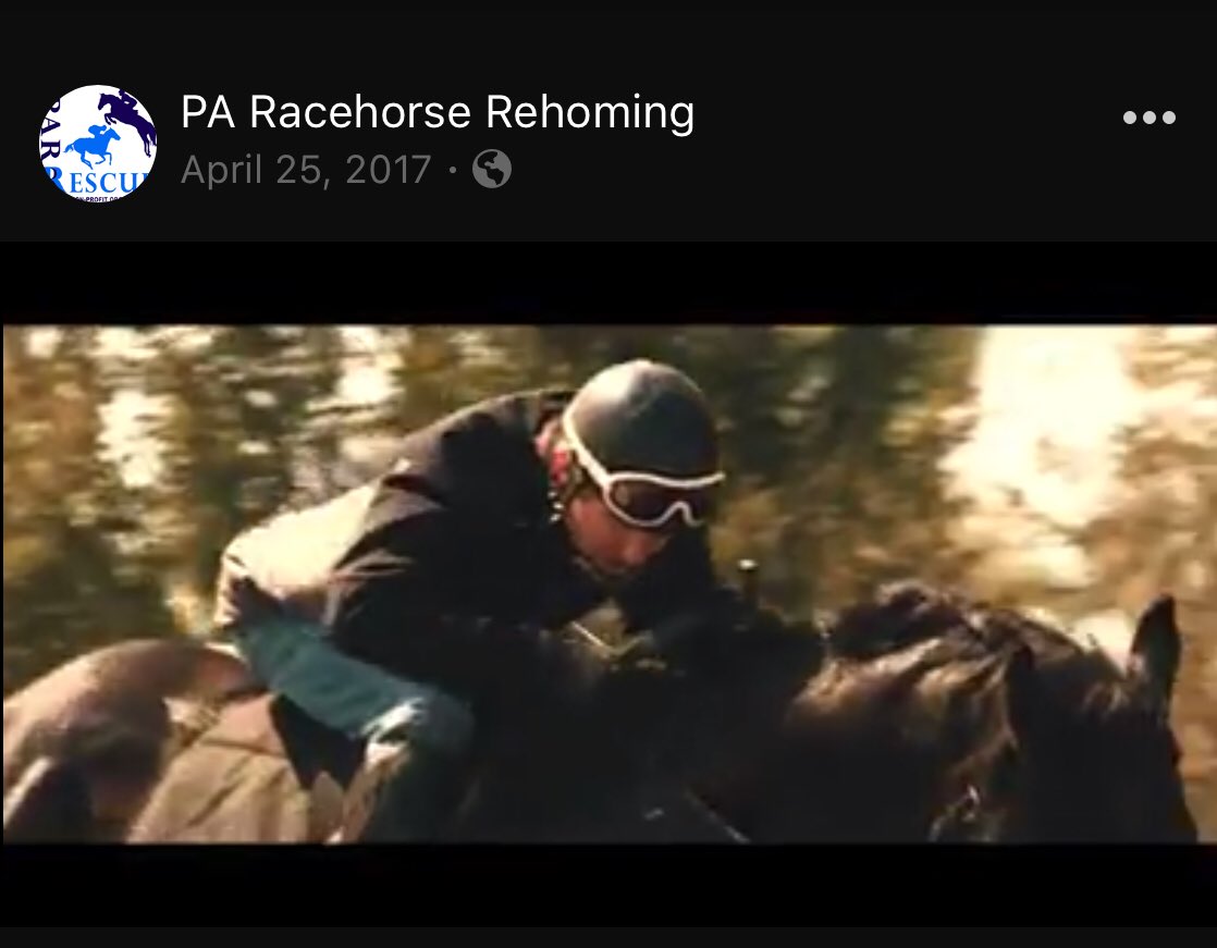 kathrynpapp's tweet photo. #forthehorse #horses #everythingequine @PARR_OTTB @flysofree @ARCIntegrity @NotCloudyAllDay @PA_PHBA @Animalsheltrdoc @PAHorseNews The amount of time, dedication, (money) &amp; love it takes to transition racehorses to new careers is A LOT, but so worth it!  https://t.co/Q6jwPxBl16 https://t.co/LM4SNNTBaa