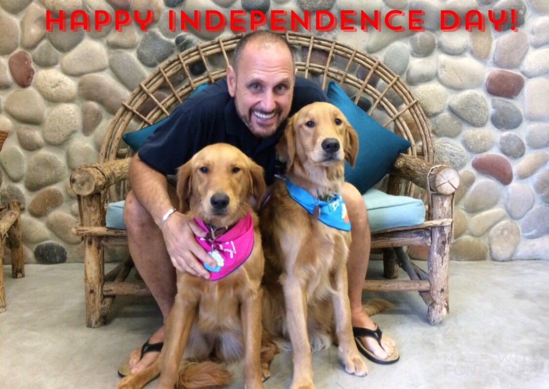 Wishing you all a very happy and safe #4thofjuly #happyindependenceday #samsgreenpaw